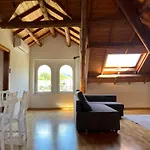 Apartment Visentin - Meraviglioso Attico In Legno